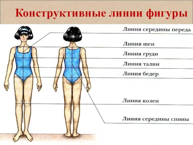 Конструктивные линии фигуры