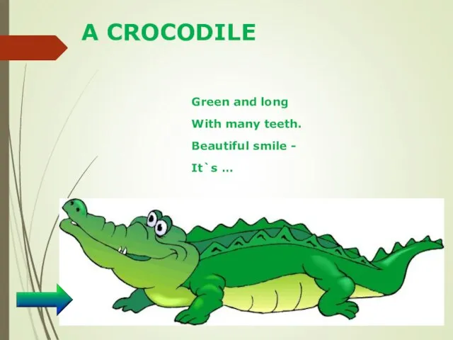 A CROCODILE Green and long With many teeth. Beautiful smile - It`s …