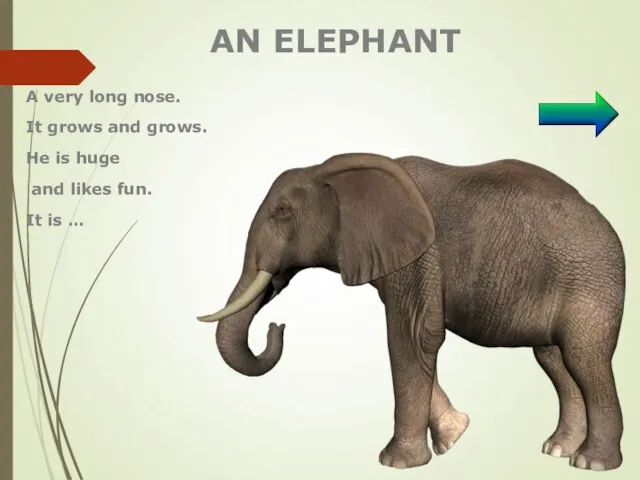 AN ELEPHANT A very long nose. It grows and grows. Не is