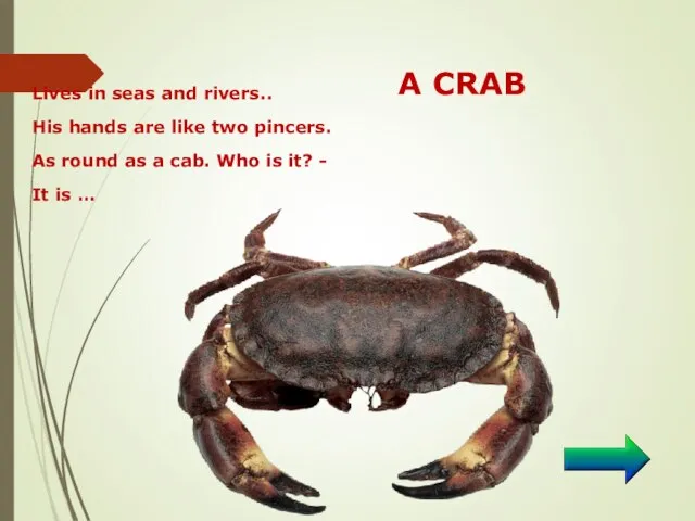 A CRAB Lives in seas and rivers.. His hands are like two