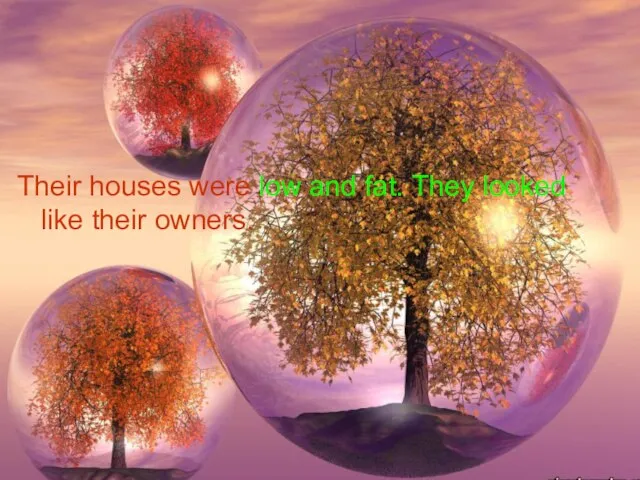 Their houses were low and fat. They looked like their owners.