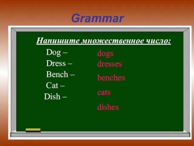 Grammar Напишите множественное число: Dog – Dress – Bench – Cat –