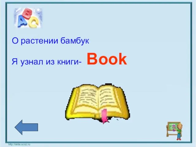 О растении бамбук Я узнал из книги- Book