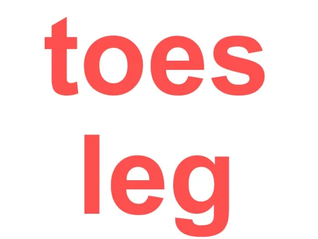toes leg