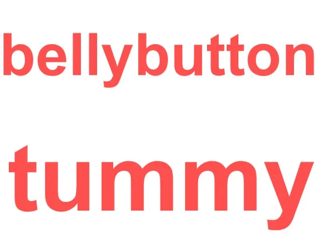 bellybutton tummy