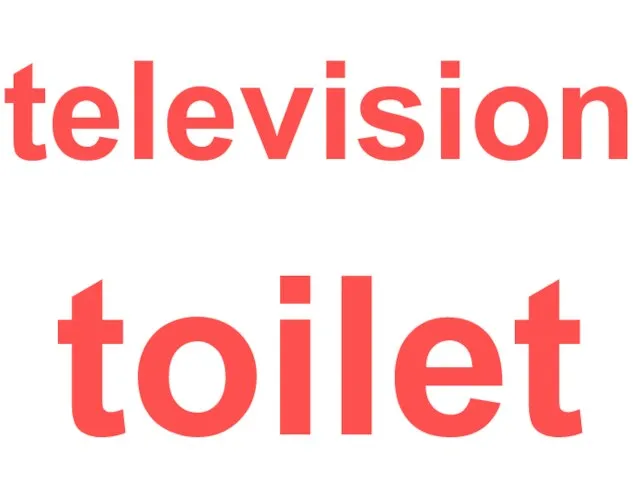 television toilet