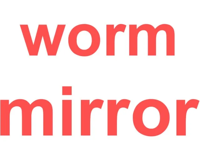 worm mirror