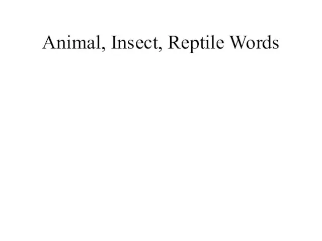 Animal, Insect, Reptile Words