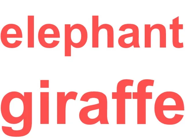 elephant giraffe