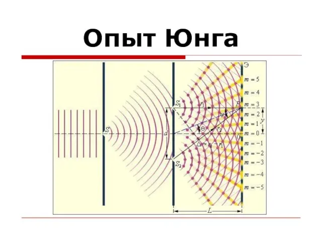 Опыт Юнга