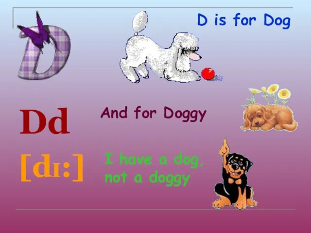 D is for Dog Dd [dɪ:] And for Doggy I have a dog, not a doggy