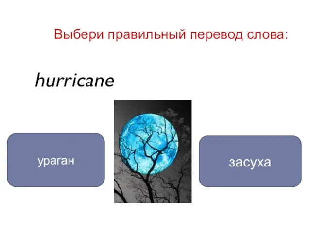 hurricane ураган засуха Выбери правильный перевод слова: