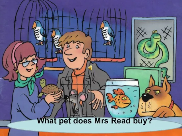 What pet does Mrs Read buy?