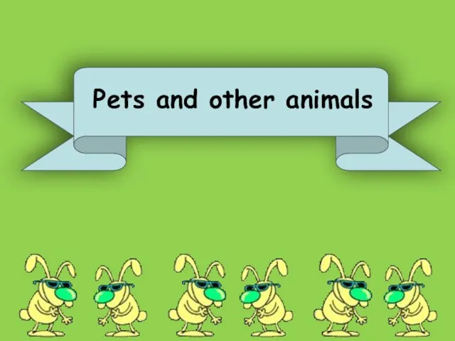 Pets and other animals