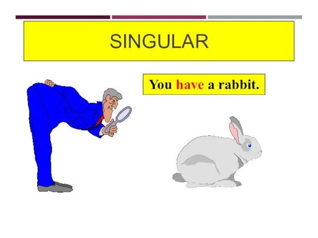 SINGULAR You have a rabbit.
