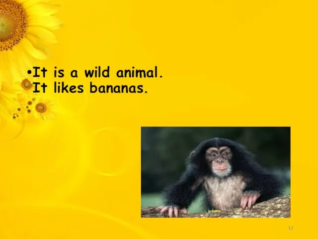 It is a wild animal. It likes bananas.