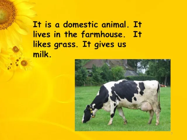 It is a domestic animal. It lives in the farmhouse. It likes
