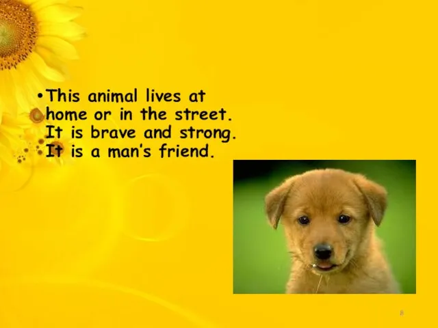 This animal lives at home or in the street. It is brave