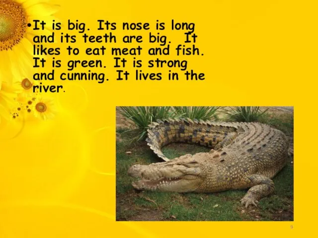 It is big. Its nose is long and its teeth are big.