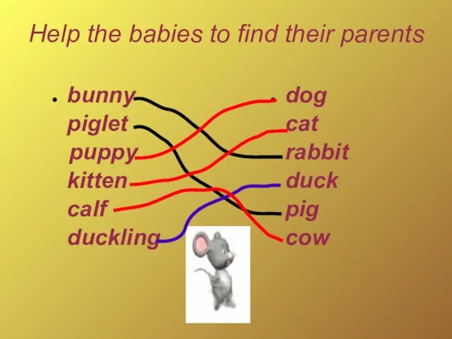 dog cat rabbit duck pig cow bunny piglet puppy kitten calf duckling