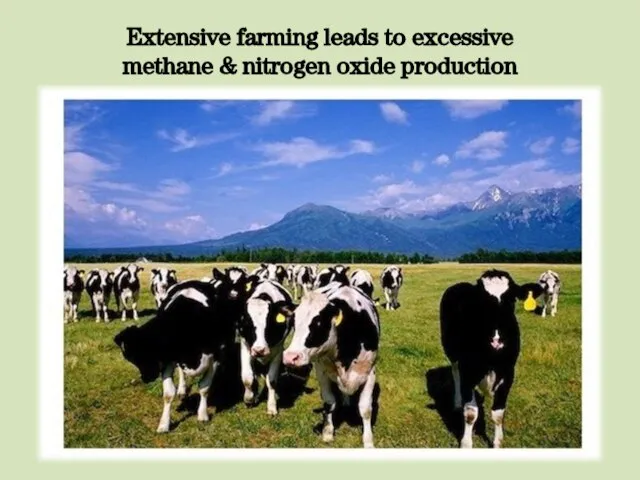 Extensive farming leads to excessive methane & nitrogen oxide production