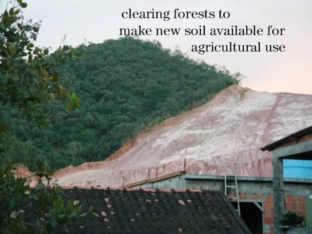 clearing forests to make new soil available for agricultural use