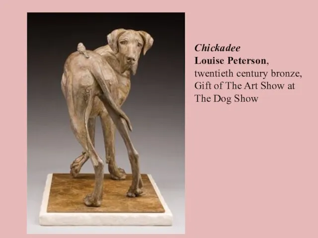 Chickadee Louise Peterson, twentieth century bronze, Gift of The Art Show at The Dog Show