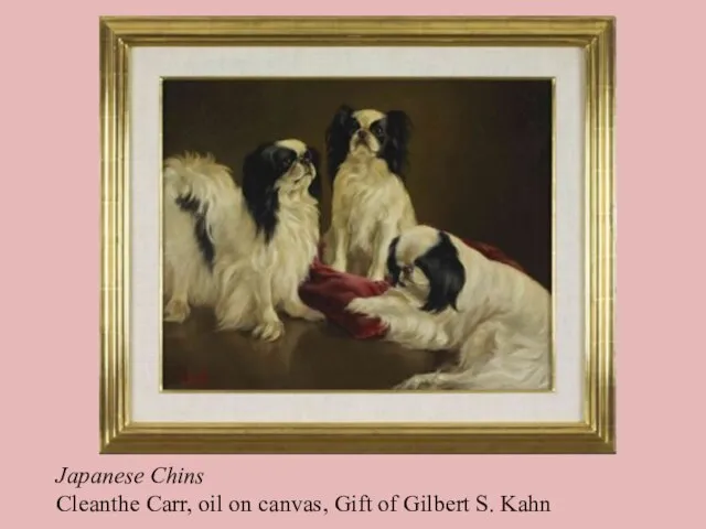 Japanese Chins Cleanthe Carr, oil on canvas, Gift of Gilbert S. Kahn