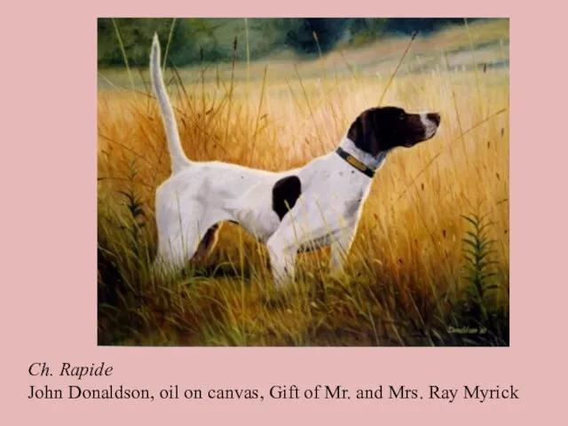 Ch. Rapide John Donaldson, oil on canvas, Gift of Mr. and Mrs. Ray Myrick