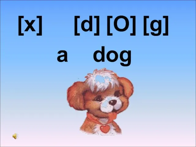 [x] [d] [O] [g] a dog