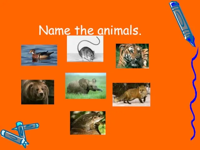 Name the animals.