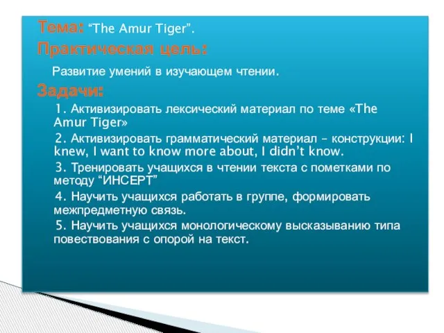 Тема: “The Amur Tiger”. Практическая цель: Развитие умений в изучающем чтении. Задачи: