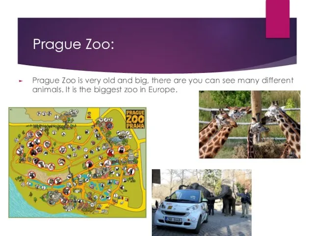 Prague Zoo: Prague Zoo is very old and big, there are you