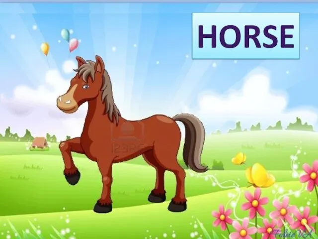 HORSE