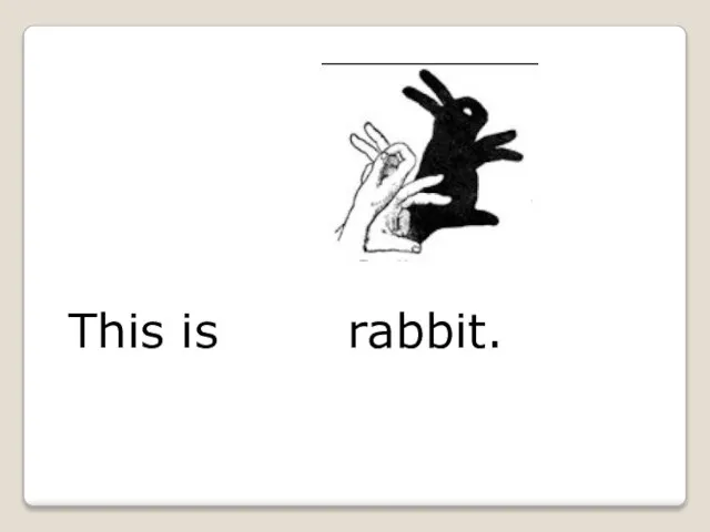 This is a rabbit.