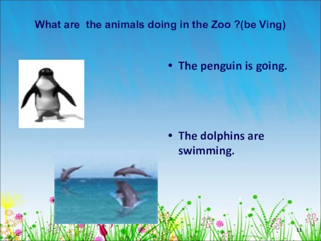 What are the animals doing in the Zoo ?(be Ving) The penguin