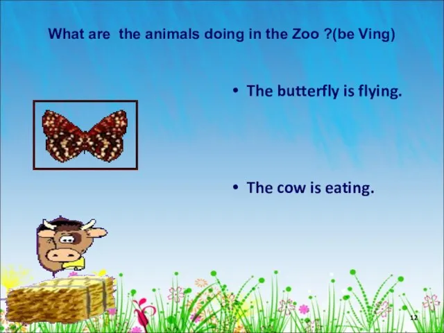 What are the animals doing in the Zoo ?(be Ving) The butterfly