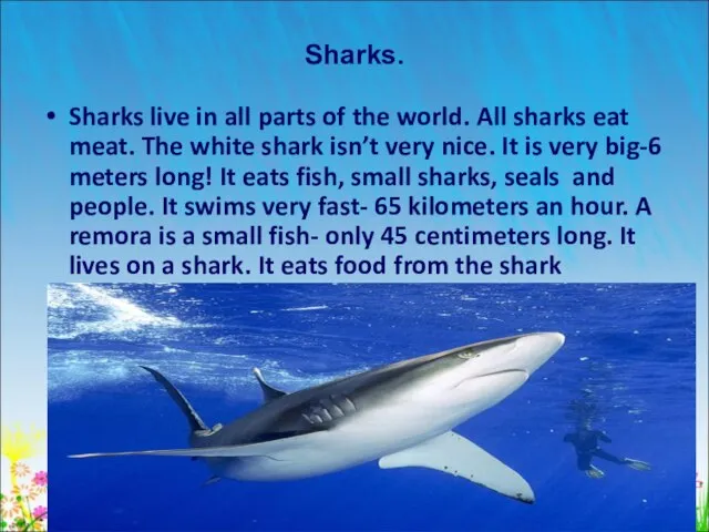 Sharks. Sharks live in all parts of the world. All sharks eat