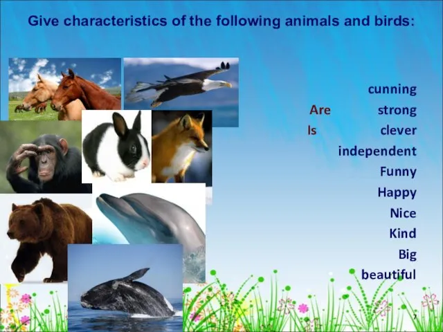 Give characteristics of the following animals and birds: cunning Are strong Is