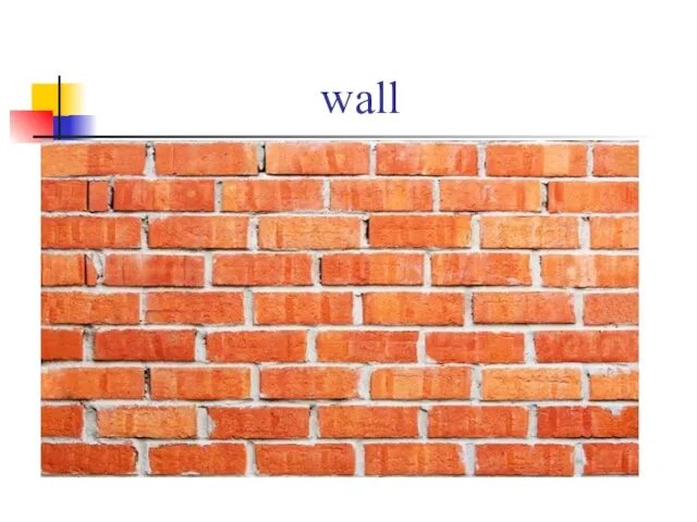 wall