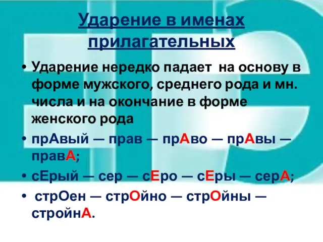 Ударение в именах прилагательных Ударение нередко падает на основу в форме мужского,