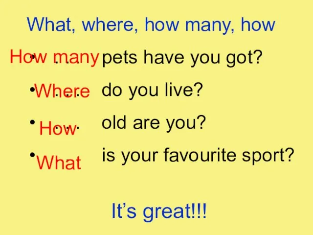 What, where, how many, how . . . pets have you got?