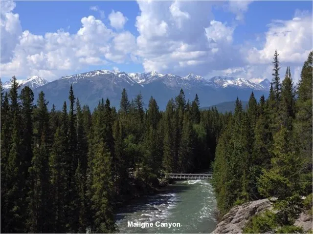 Maligne Canyon