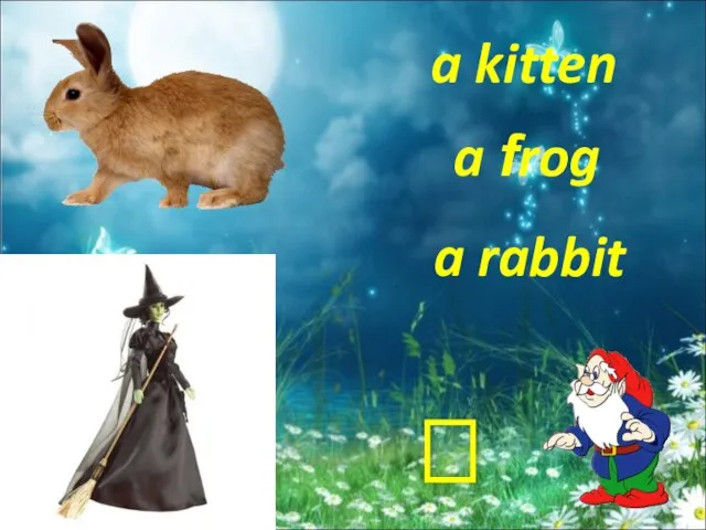 a kitten a rabbit a frog ?
