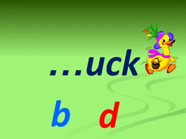 …uck b d