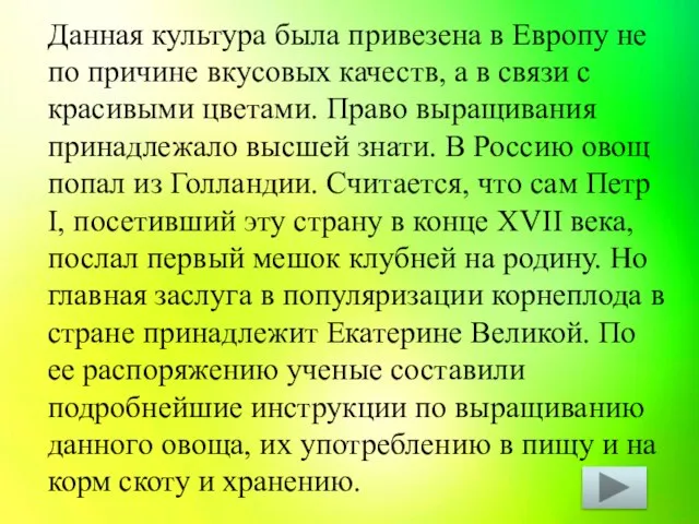 Данная культура была привезена в Европу не по причине вкусовых качеств, а