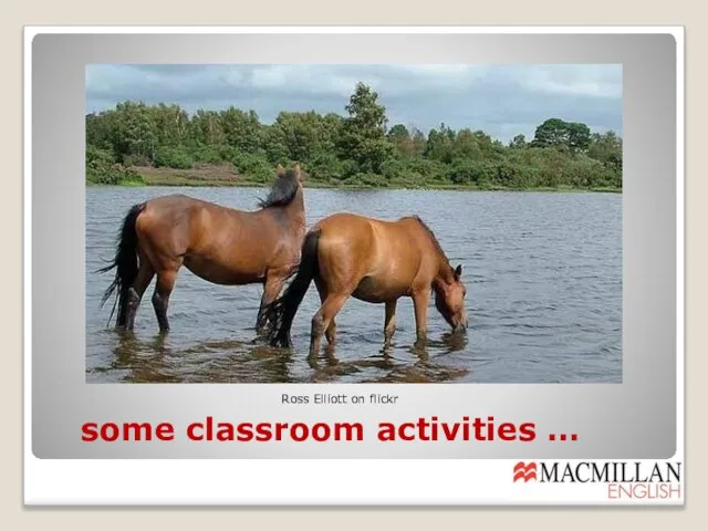 some classroom activities … Ross Elliott on flickr