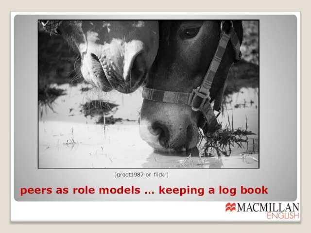 peers as role models … keeping a log book [grodt1987 on flickr]