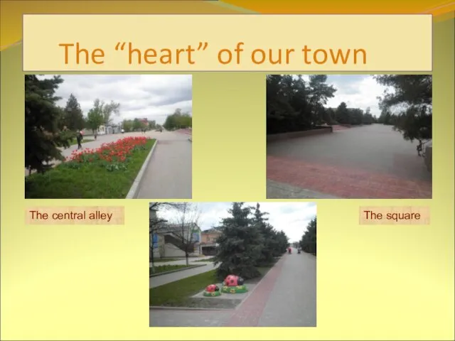 The “heart” of our town The central alley The square