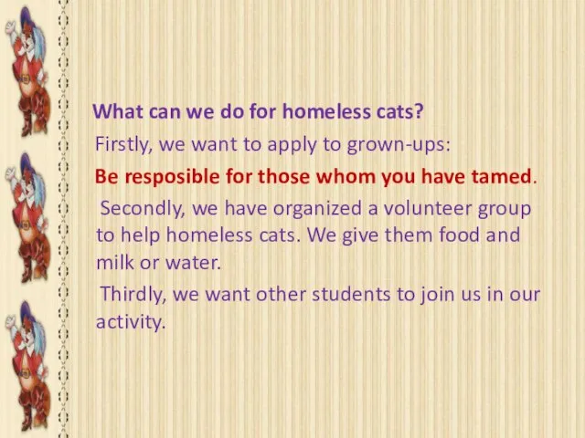 OUR VOLUNTEER ACTIVITY What can we do for homeless cats? Firstly, we